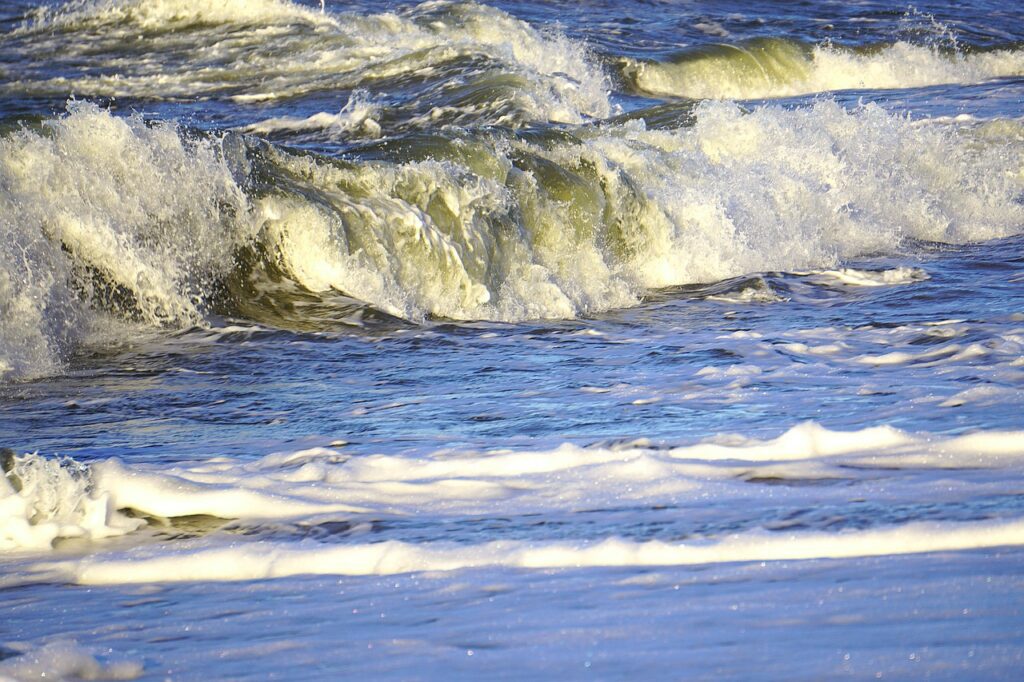 Bałtyk: Smoki mułowe walczą z sinicami